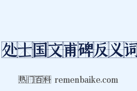 处士国文甫碑反义词是什么意思的图片